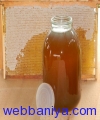 342146445_Honey 002.JPG
